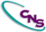 CNS Consulting Ltd.
